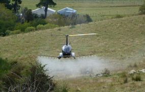 Onbemande Robinson R22 vliegt als spraytoestel