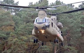 Egypte krijgt goedkeuring voor 23 Chinook CH-47F