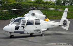OO-NHZ - Airbus Helicopters - AS365N2 Dauphin 2
